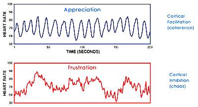 Cortical Facilitation and Inhibition