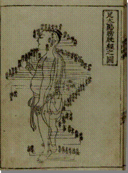 Acupuncture chart from Hua Shou (fl. 1340s, Ming Dynasty).  This image from Shi si jing fa hui (Expression of the Fourteen Meridians). ([Tokyo] : Suharaya Heisuke kanko, Kyoho gan [1716]).